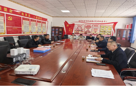 自治区文化和旅游厅厅长马洪海调研指导上青石村驻村工作2